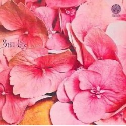 Still Life-Still Life