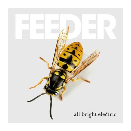 Feeder-All Bright Electric