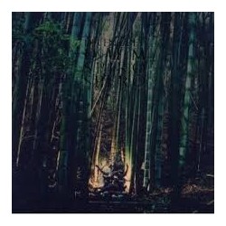 Dir En Grey - Dum Spiro Spero