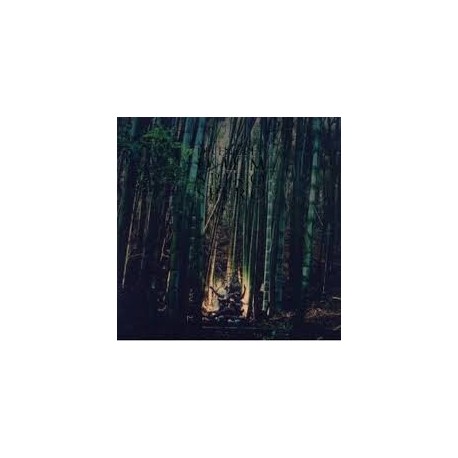 Dir En Grey - Dum Spiro Spero