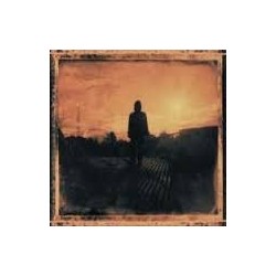 Steven Wilson-Grace For Drowing