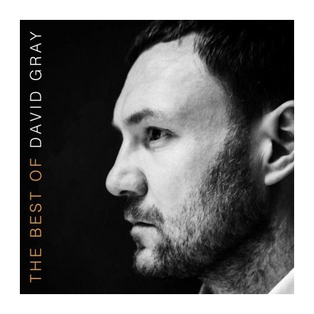 David Gray-Best Of