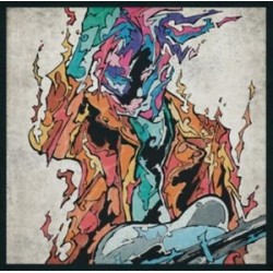 Miyavi-Fire Bird