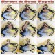 Rock Artisti Vari-Sweet & Sour Psych (A Saucy Blend Of Contemporary Psychedelia)