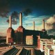 Pink Floyd-Animals