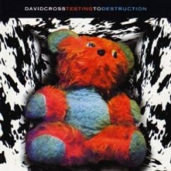 David Cross-Testing To Destruction