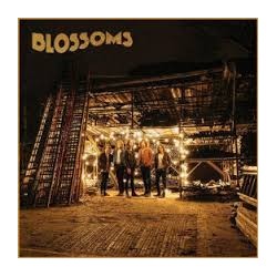 Blossoms-Blossoms