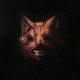 Swans-Seer