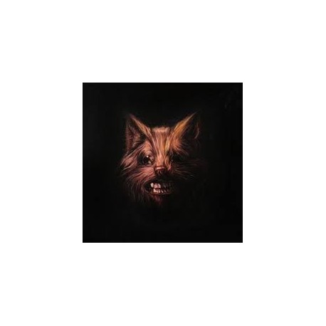 Swans-Seer