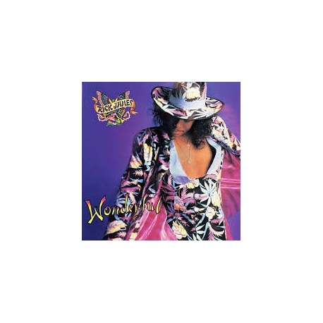 Rick James-Sexual Luv Affair