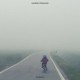 Gazebo Penguins-Nebbia