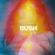 Bush-Black And White Rainbows