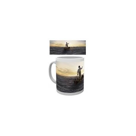 Pink Floyd-Dark Side Of The Moon Mug (Tazza)