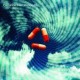 Porcupine Tree-Voyage 34