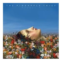 Pineapple Thief-Magnolia