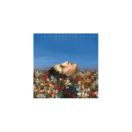Pineapple Thief-Magnolia