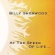 Billy Sherwood-At The Speed Of Life