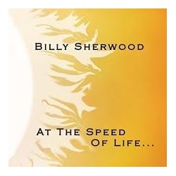 Billy Sherwood-At The Speed Of Life