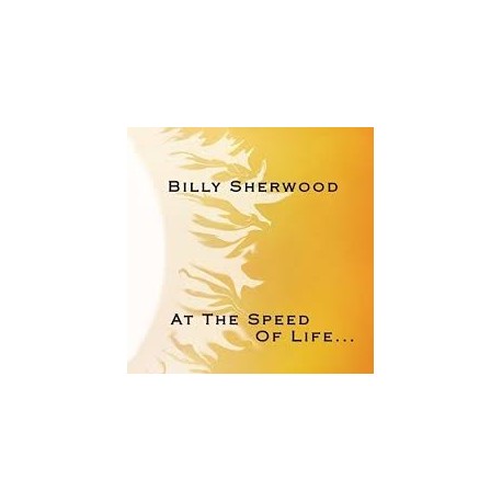 Billy Sherwood-At The Speed Of Life