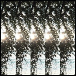 Pontiak-Dialectic of Ignorence