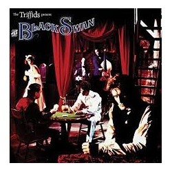 Triffids-Black Swan