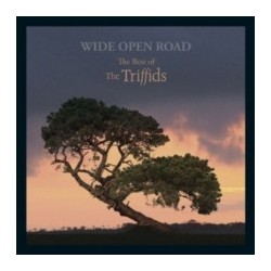 Triffids-Wide Open Road (The Best Of The Triffids)