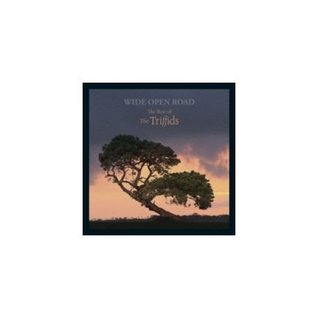 Triffids-Wide Open Road (The Best Of The Triffids)