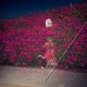 Feist-Pleasure