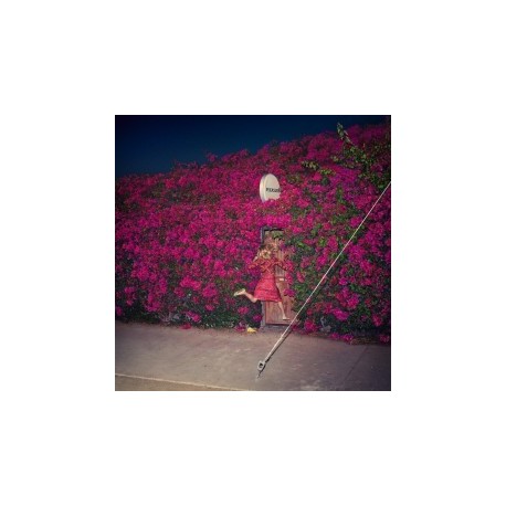 Feist-Pleasure