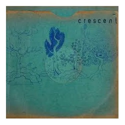 Crescent-Resin Pocket