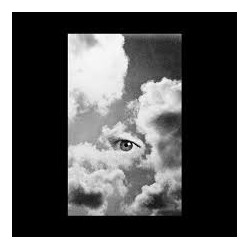 Joni Void-Selfless