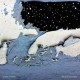 Jessica Moss-Pools Of Light