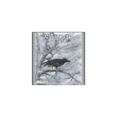 Vidsyn-On Frostbitten Path Beneath