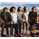 Turtles-Soup