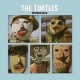 Turtles-Wooden Head