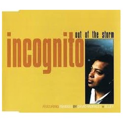 Incognito-Out Of The Storm