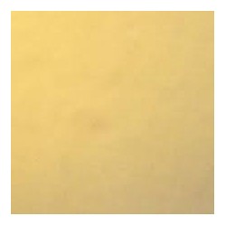 Mark Kozelek And Sean Yeaton-Yellow Kitchen