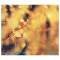 Steamhammer - Reflection