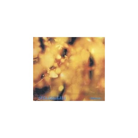 Steamhammer - Reflection