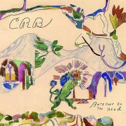 Chris Robinson Brotherhood-Barefoot In TheHead