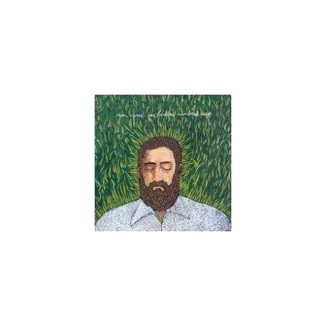 Iron & Wine-Our Endless Numbered Days