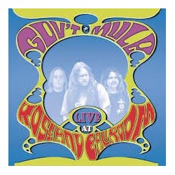 Gov't Mule-Live At Roseland Ballroom
