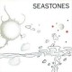 Ned Lagin-Seastones