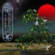 Ozric Tentacles-Paper Monkeys