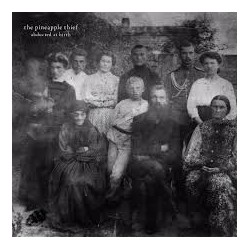Pineapple Thief-Abducted At Birth