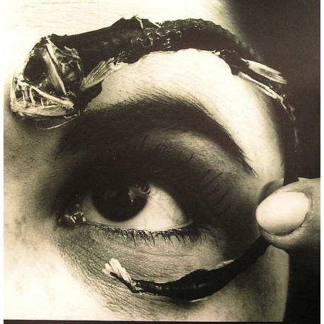 Mr. Bungle-Disco Volante