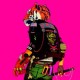 CRX-New Skin