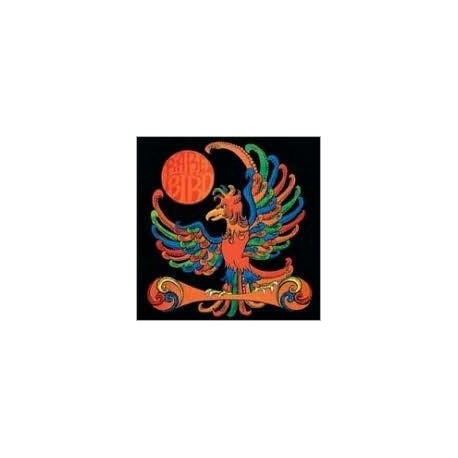 Rare Bird-Rare Bird