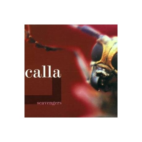 Calla-Scavengers