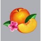 Phoenix (France)-Bankrupt!